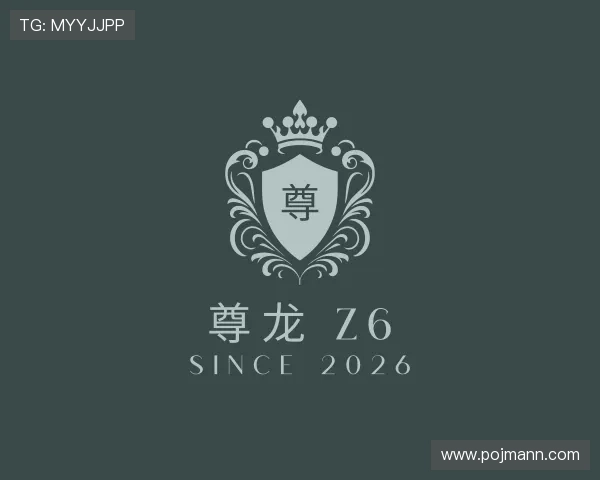 关于尊龙 z6